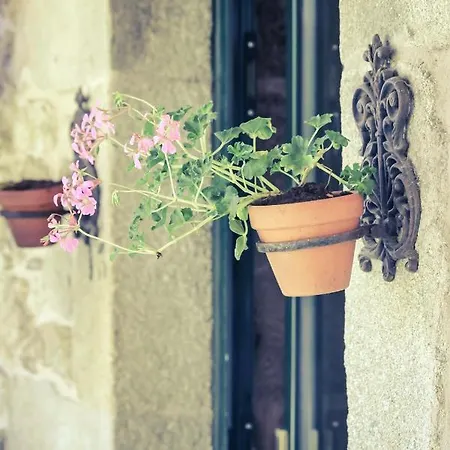 A Casa Do Lagoeiro * A Estrada